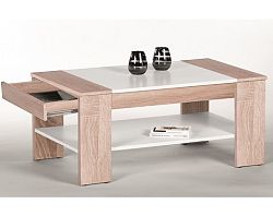 Konferenční stolek Finley Plus, dub sonoma/bílý